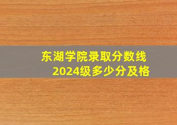 东湖学院录取分数线2024级多少分及格