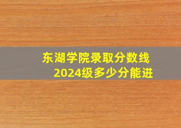 东湖学院录取分数线2024级多少分能进