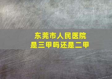 东莞市人民医院是三甲吗还是二甲