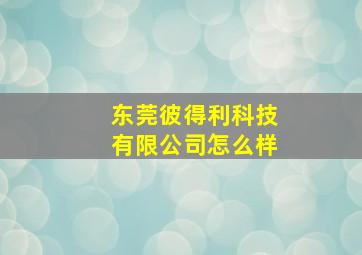 东莞彼得利科技有限公司怎么样