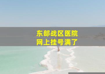 东部战区医院网上挂号满了