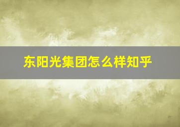 东阳光集团怎么样知乎