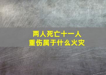 两人死亡十一人重伤属于什么火灾