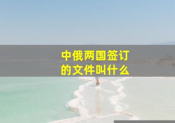 中俄两国签订的文件叫什么