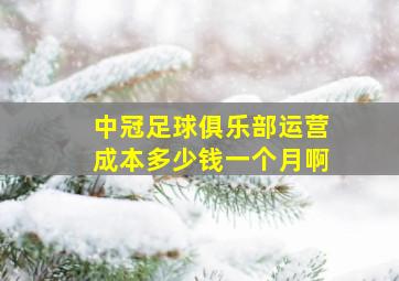 中冠足球俱乐部运营成本多少钱一个月啊