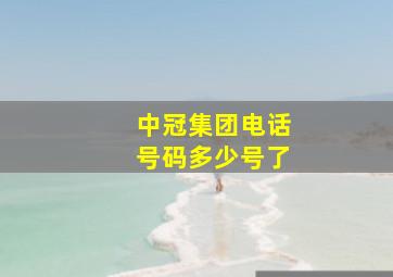 中冠集团电话号码多少号了