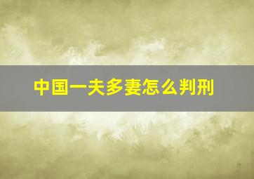 中国一夫多妻怎么判刑