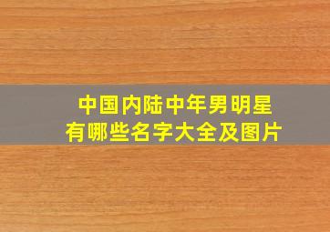 中国内陆中年男明星有哪些名字大全及图片