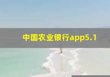 中国农业银行app5.1