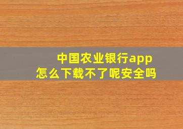 中国农业银行app怎么下载不了呢安全吗