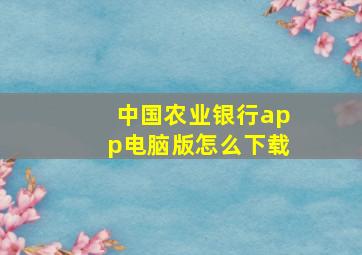 中国农业银行app电脑版怎么下载