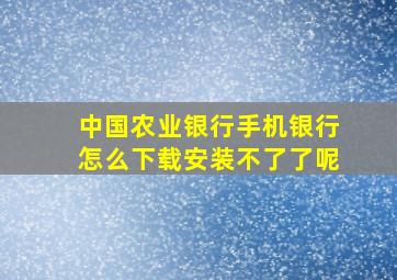 中国农业银行手机银行怎么下载安装不了了呢