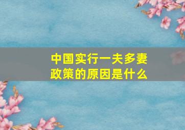 中国实行一夫多妻政策的原因是什么