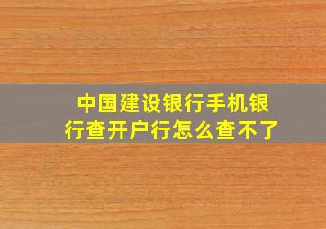 中国建设银行手机银行查开户行怎么查不了