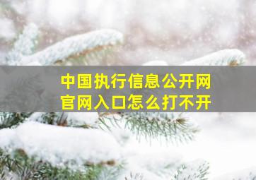 中国执行信息公开网官网入口怎么打不开