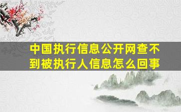 中国执行信息公开网查不到被执行人信息怎么回事