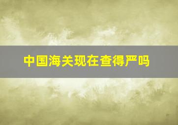 中国海关现在查得严吗