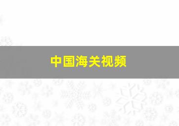 中国海关视频