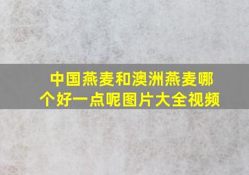 中国燕麦和澳洲燕麦哪个好一点呢图片大全视频