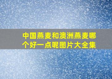 中国燕麦和澳洲燕麦哪个好一点呢图片大全集