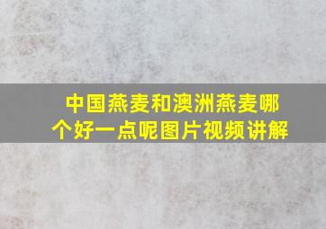 中国燕麦和澳洲燕麦哪个好一点呢图片视频讲解