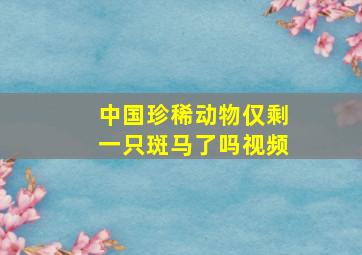 中国珍稀动物仅剩一只斑马了吗视频