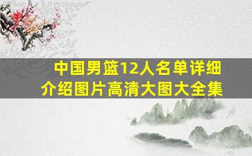 中国男篮12人名单详细介绍图片高清大图大全集