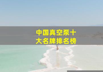 中国真空泵十大名牌排名榜