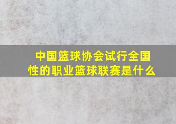 中国篮球协会试行全国性的职业篮球联赛是什么