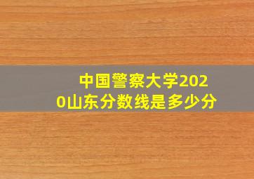 中国警察大学2020山东分数线是多少分