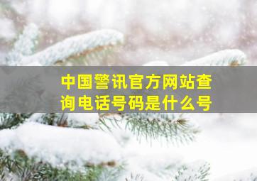 中国警讯官方网站查询电话号码是什么号