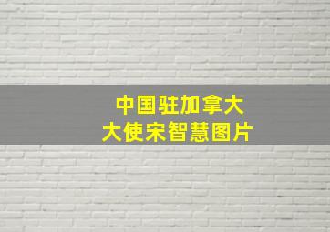 中国驻加拿大大使宋智慧图片