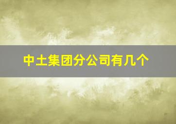 中土集团分公司有几个