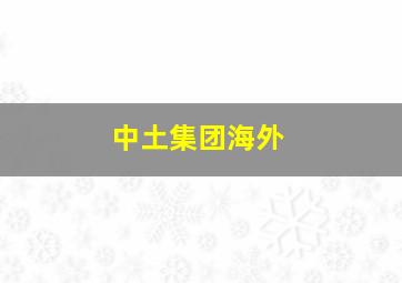 中土集团海外