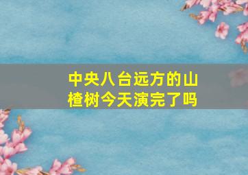 中央八台远方的山楂树今天演完了吗