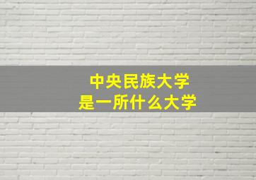 中央民族大学是一所什么大学