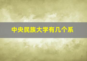 中央民族大学有几个系