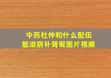 中药杜仲和什么配伍能滋阴补肾呢图片视频