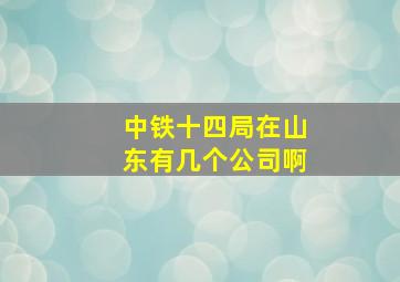 中铁十四局在山东有几个公司啊