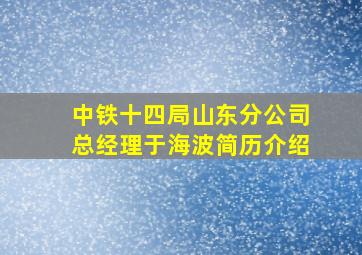 中铁十四局山东分公司总经理于海波简历介绍