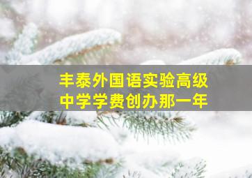 丰泰外国语实验高级中学学费创办那一年