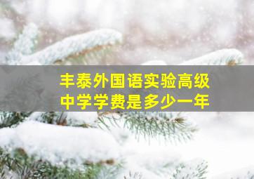 丰泰外国语实验高级中学学费是多少一年