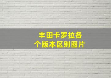 丰田卡罗拉各个版本区别图片