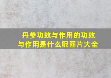 丹参功效与作用的功效与作用是什么呢图片大全