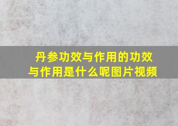 丹参功效与作用的功效与作用是什么呢图片视频