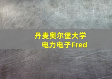 丹麦奥尔堡大学电力电子Fred