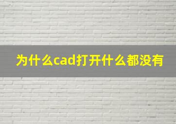 为什么cad打开什么都没有