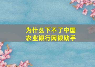 为什么下不了中国农业银行网银助手