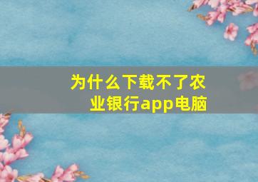 为什么下载不了农业银行app电脑