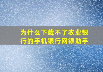 为什么下载不了农业银行的手机银行网银助手